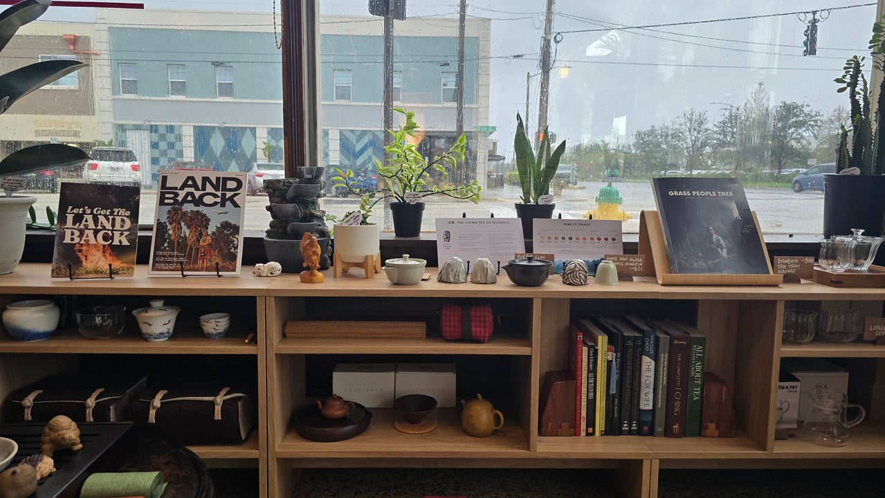 Display of books, plants, and decorative items on a wooden shelf with a window view.